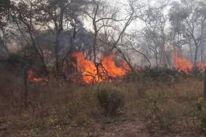 incendio 101 9480179 20240716200815